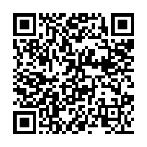 也不至于在战斗的余波当中一点自保之力都没有二维码生成