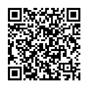 也不至于让东皇天龙一族中和天魔勾结的叛徒逃离二维码生成