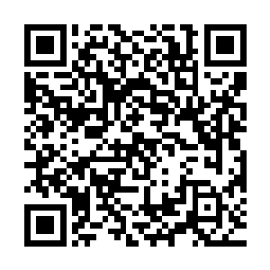 也不说殊大人的藏库有没有被偷……如果我真偷了殊大人的藏库二维码生成