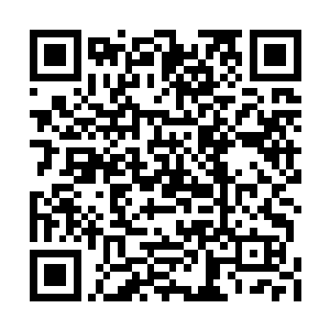 也不过是只有一人领悟了区区一种极致境界而已二维码生成