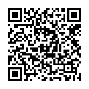 也不过是因为她容貌绝美而生出了一种一步登天的奢望二维码生成