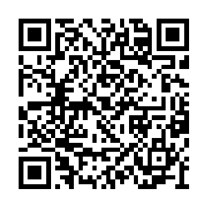 也不过是让别人看到一个可怖的恶毒女巫婆而已二维码生成