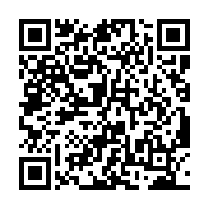 也与公爵工作室和华纳兄弟想趁着黑客热潮尚未散尽二维码生成