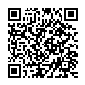 也与另一名在对战考核中祭出鬼幡旗的役鬼修士祭炼的鬼灵不同二维码生成