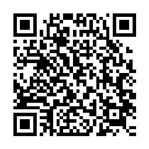 也为了让我们人类可以在这个生化危机的世界当中好好的活下去二维码生成