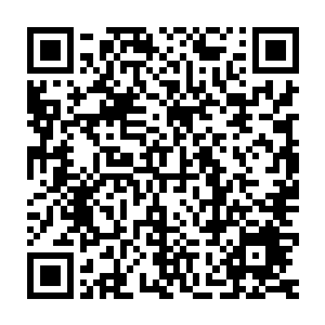 也为大家增添了几分对母校的深切缅怀和之于师恩传承的感动……二维码生成