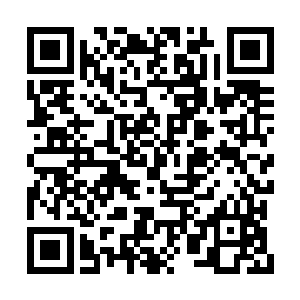也仅仅只是忧虑自己一个忍不住会同她争执起来二维码生成