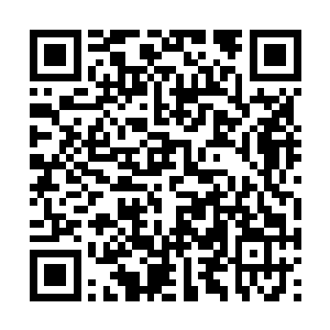 也仅有他们族长慕容子规一个人拥有十阶血脉而已二维码生成