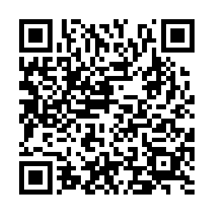 也从功德戒指中拿出了一些东西摆在了自己的面前二维码生成