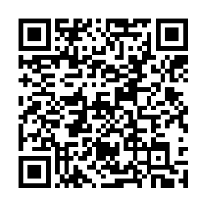 也代表着他们对耕种的土地拥有了法律上的所有权二维码生成