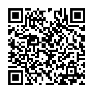也仿佛是被人参果中那种温和的力量给同化了一般二维码生成