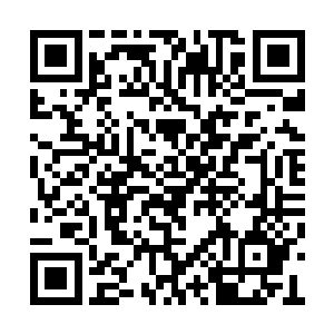 也会制定一份科学合理的计划让她慢慢融入社会二维码生成