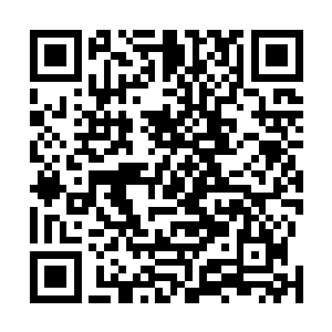 也会用这样的方式在他们老子面前刷好感证明自身实力的二维码生成