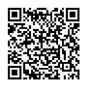 也会被家长们的谆谆教导引入了既定的人生轨道当中二维码生成