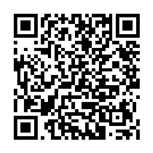 也会调集大军过来帮你们白狐一族一统天狐大陆二维码生成