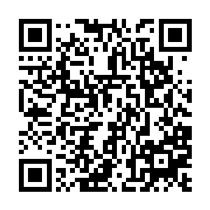 也使得岳霜婷的爷爷免于在那个时代少受了许多罪二维码生成