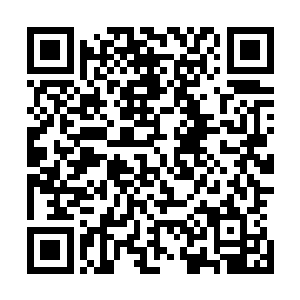 也使得洗月派几乎每个人都知道有这么一个疯子在痛恨唐劫二维码生成