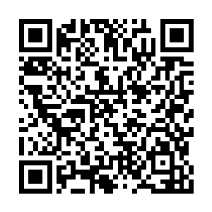 也使得甄婕在华民集团内部的地位显得特殊起来二维码生成