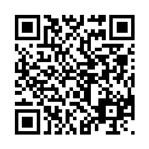 也依旧听话的宠物生出的一抹怜悯之心二维码生成