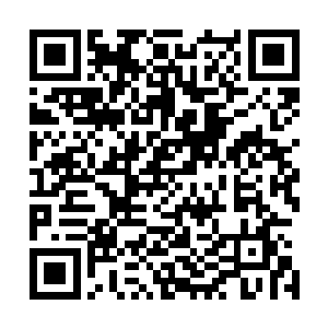 也依然知道蒋钦和袁琳那两个小丫头现在到底有多么的火爆二维码生成