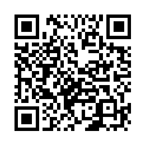 也值得投入100%的努力去找到答案二维码生成