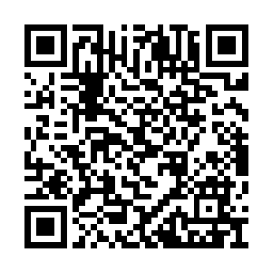 也关系到我们明年是否能够吸引更多的企业入园二维码生成
