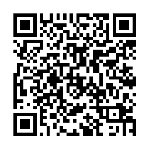 也再一度的博得了学生们的如雷的掌声和一片的叫好声二维码生成