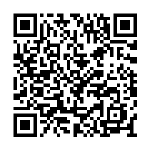 也再一次见识到了凤羽珩这种精湛又骇人的医术二维码生成