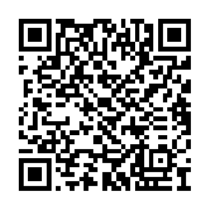 也几乎无不例外地击中在马里奥的身上要害部门二维码生成