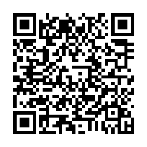 也刚好到司农府中把办下来的那些土地所有权文件二维码生成