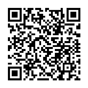 也别指望你跟你未来丈夫打架我当姐夫的帮你出头二维码生成