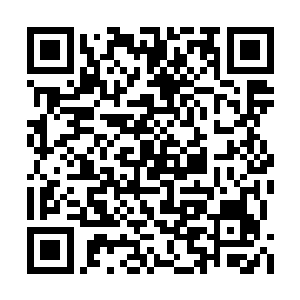 也包括先前阻止夏星辰与墨无相交手的那位老者二维码生成