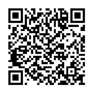 也只不过能大幅度增加冲击不堕境界的几率而已二维码生成