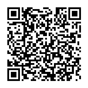 也只以为谢姝宁是对温庆山有兴趣才致她暗地里搜集温庆山的资料二维码生成