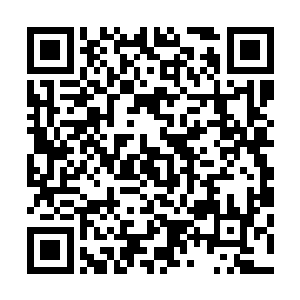 也只有一粒能够将修炼天赋从四品提升到三品的脱胎换骨丹二维码生成