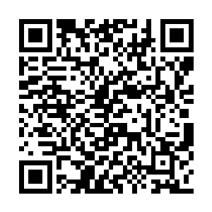 也只有三极力量能够屏蔽君主对神者气息的感应二维码生成