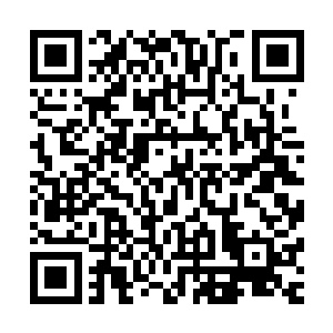 也只有从魔域雪原南归途中受到的那些羞辱与伤害未曾洗干净二维码生成