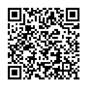 也只有他和刀疤脸这样的机械技师可以现学现卖二维码生成