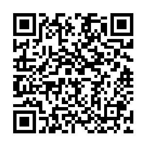也只有伟大的天朝才会有您这样年轻而聪明睿智的官员二维码生成