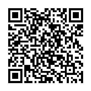 也只有几个对林铭印象不错的琴宗少女为他呐喊助威二维码生成