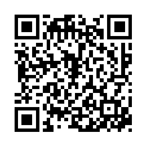 也只有到了一年一度的宗门庆典才会公布二维码生成