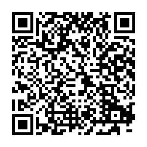 也只有她王如梦敢针尖对麦芒的和柳逸尘对着干而且还从来都不落下风二维码生成