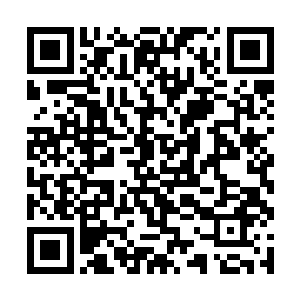 也只有实力才能让你们在一次又一次的战斗正活下来二维码生成