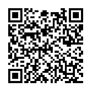 也只有小师妹这样聪敏的女子才配得上这样的环境二维码生成