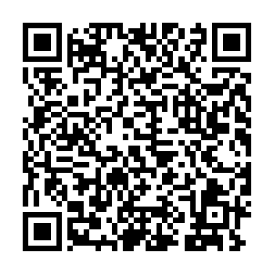 也只有您这种极品先天仙丹师才能够真正让不死草的价值体现出来二维码生成