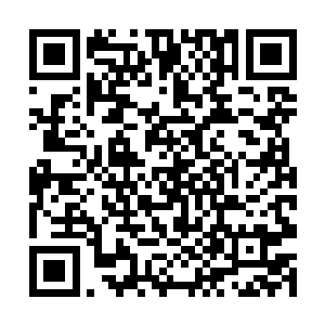 也只有拥有着侦查技能的秦方才可以一一探知明白的二维码生成