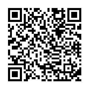 也只有李月蓉和上官浩在场……他们并没有带任何一个人过来二维码生成