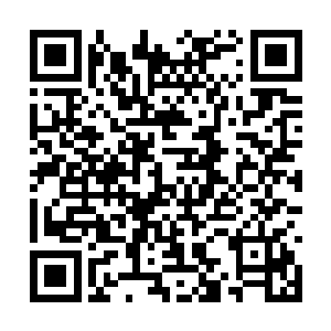 也只有林雨馨那样的绝世大美女才配得上柳逸尘吧二维码生成