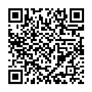 也只有白虎这个愚蠢的家伙才会在局势明确之前出手二维码生成