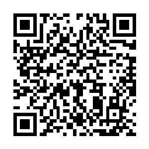 也只有精神力特别强大的人才能感应到这种轻微的震动二维码生成